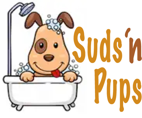 Pet Grooming & Bathing